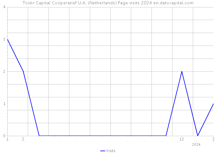 Toskr Capital Coöperatief U.A. (Netherlands) Page visits 2024 