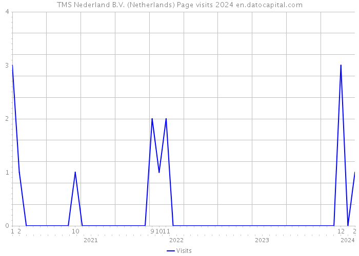 TMS Nederland B.V. (Netherlands) Page visits 2024 