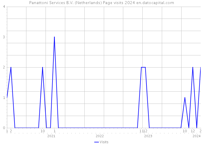 Panattoni Services B.V. (Netherlands) Page visits 2024 