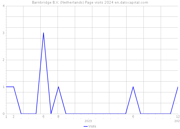 Barnbridge B.V. (Netherlands) Page visits 2024 