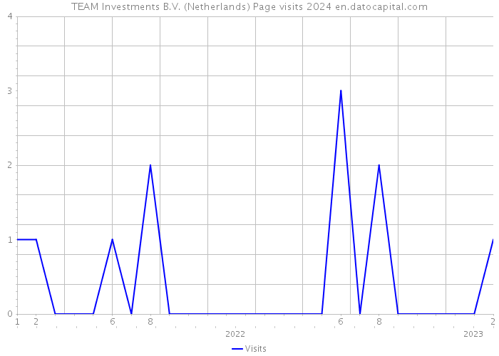 TEAM Investments B.V. (Netherlands) Page visits 2024 