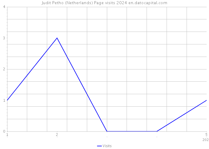 Judit Petho (Netherlands) Page visits 2024 