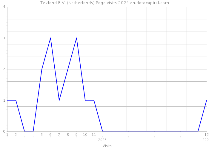 Texland B.V. (Netherlands) Page visits 2024 