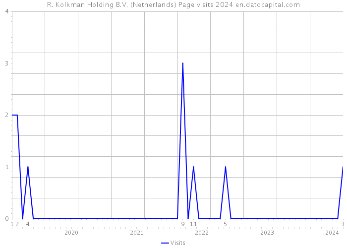 R. Kolkman Holding B.V. (Netherlands) Page visits 2024 