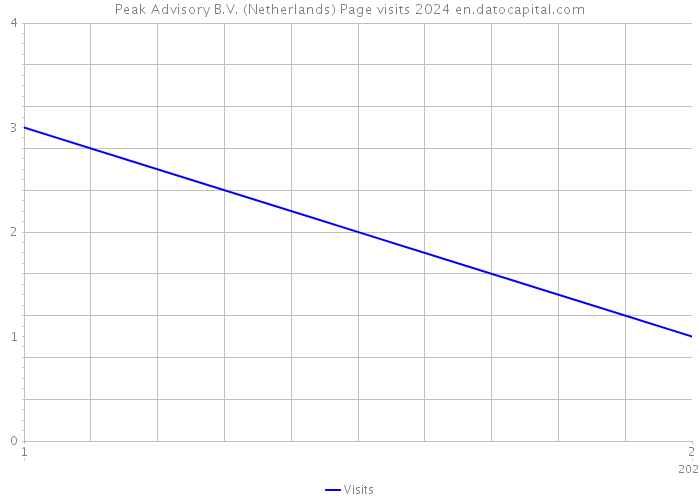 Peak Advisory B.V. (Netherlands) Page visits 2024 