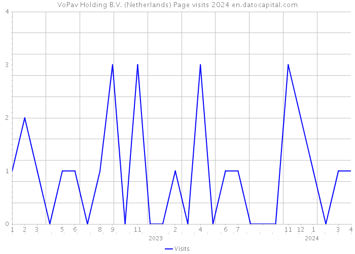 VoPav Holding B.V. (Netherlands) Page visits 2024 