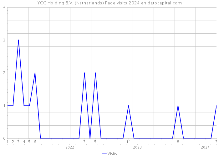 YCG Holding B.V. (Netherlands) Page visits 2024 