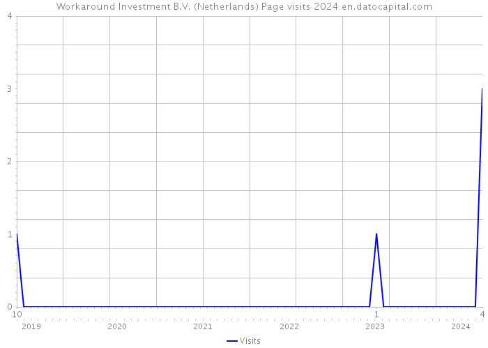 Workaround Investment B.V. (Netherlands) Page visits 2024 