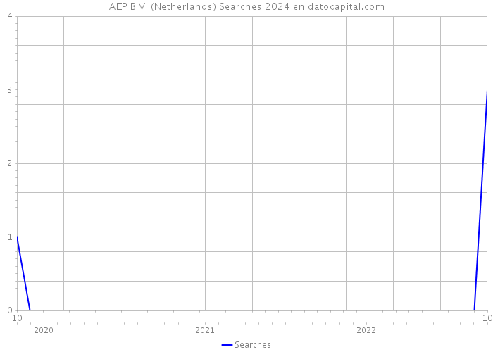 AEP B.V. (Netherlands) Searches 2024 