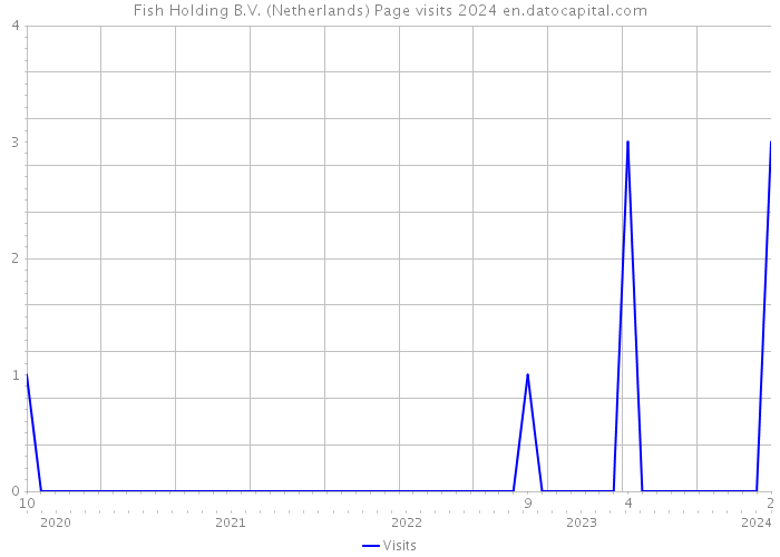 Fish Holding B.V. (Netherlands) Page visits 2024 