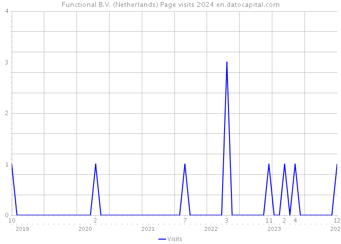Functional B.V. (Netherlands) Page visits 2024 
