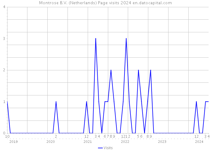 Montrose B.V. (Netherlands) Page visits 2024 