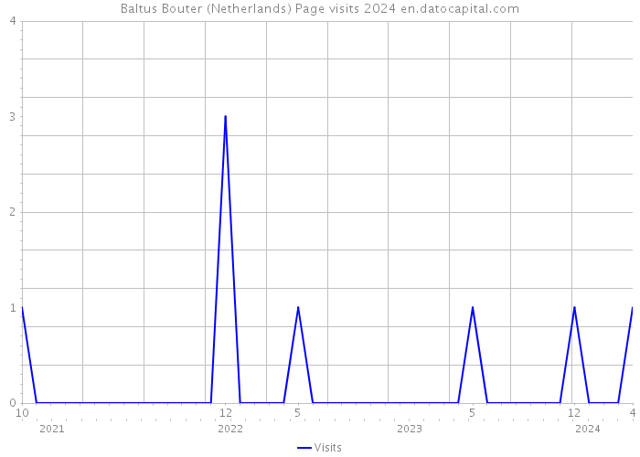 Baltus Bouter (Netherlands) Page visits 2024 
