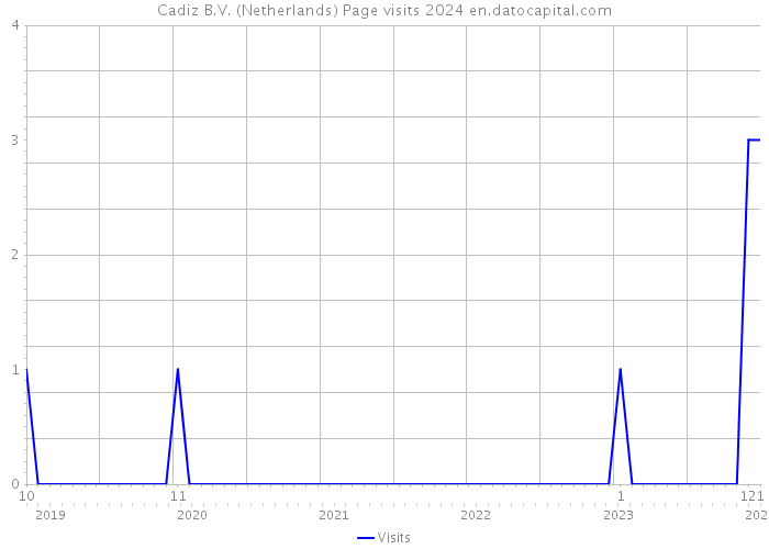 Cadiz B.V. (Netherlands) Page visits 2024 