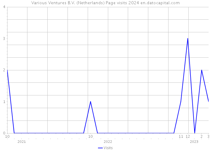 Various Ventures B.V. (Netherlands) Page visits 2024 