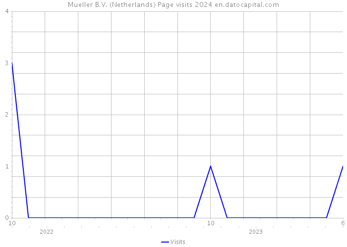 Mueller B.V. (Netherlands) Page visits 2024 