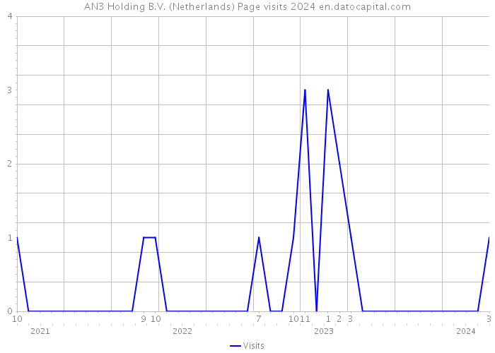 AN3 Holding B.V. (Netherlands) Page visits 2024 