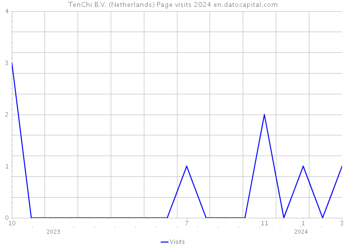 TenChi B.V. (Netherlands) Page visits 2024 