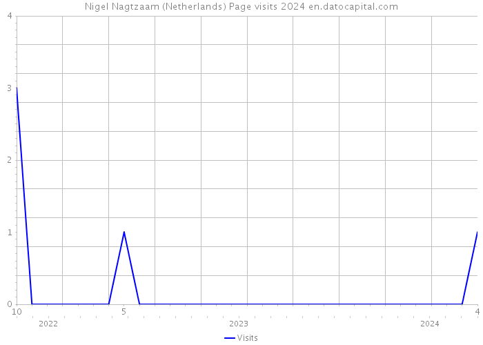 Nigel Nagtzaam (Netherlands) Page visits 2024 