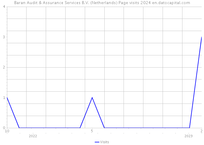 Baran Audit & Assurance Services B.V. (Netherlands) Page visits 2024 