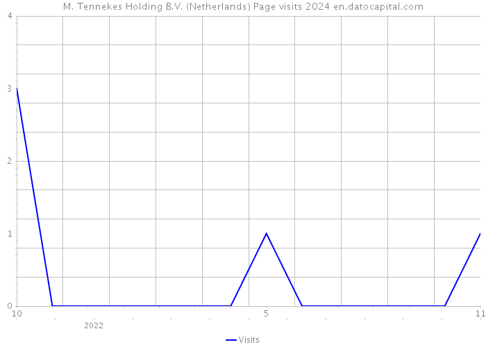 M. Tennekes Holding B.V. (Netherlands) Page visits 2024 