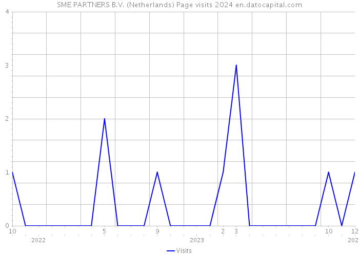 SME PARTNERS B.V. (Netherlands) Page visits 2024 