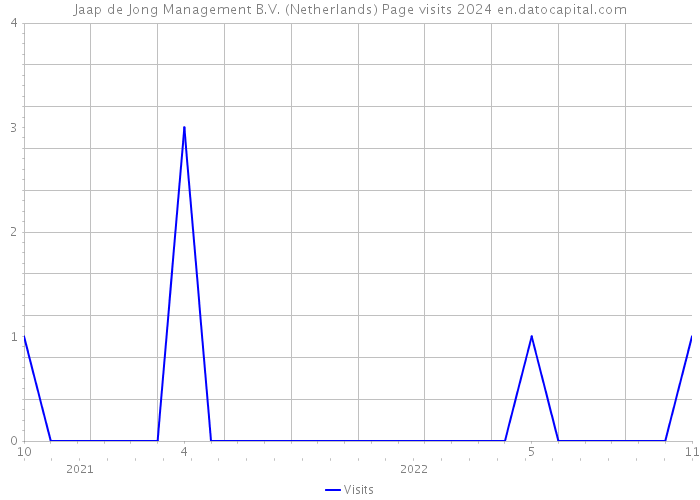 Jaap de Jong Management B.V. (Netherlands) Page visits 2024 