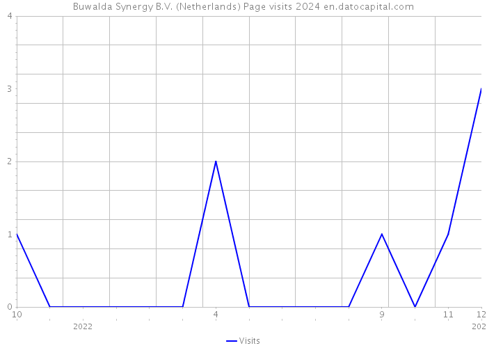 Buwalda Synergy B.V. (Netherlands) Page visits 2024 