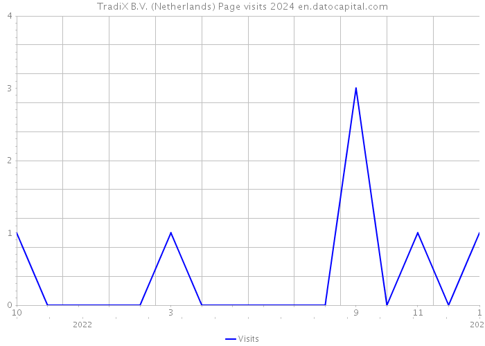 TradiX B.V. (Netherlands) Page visits 2024 