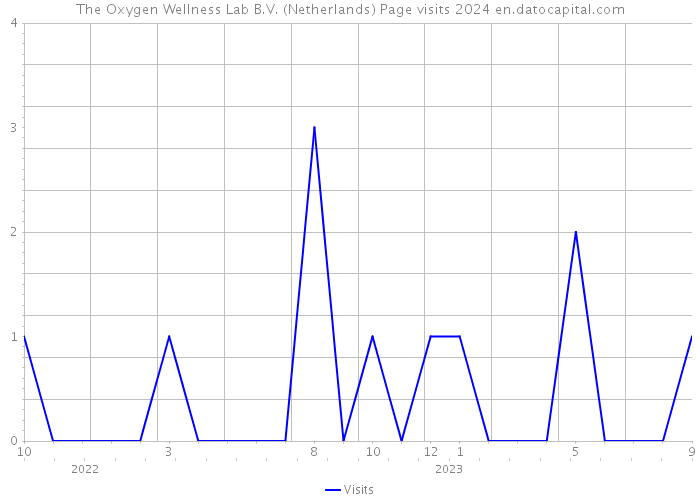 The Oxygen Wellness Lab B.V. (Netherlands) Page visits 2024 