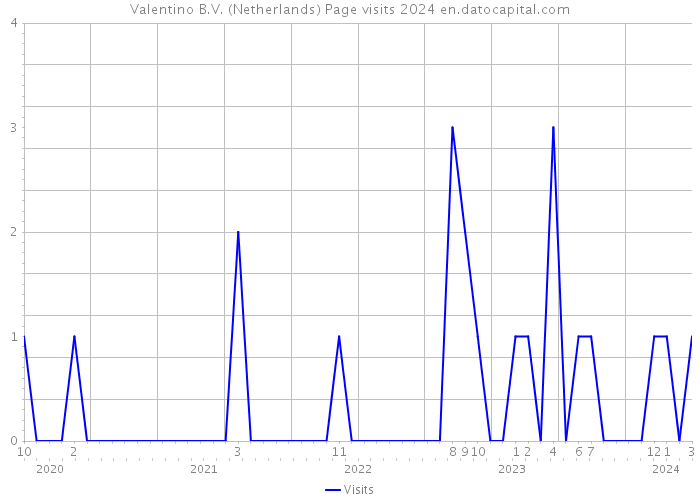 Valentino B.V. (Netherlands) Page visits 2024 