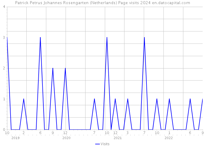 Patrick Petrus Johannes Rosengarten (Netherlands) Page visits 2024 