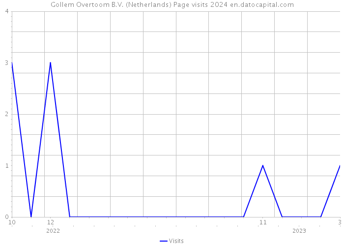 Gollem Overtoom B.V. (Netherlands) Page visits 2024 