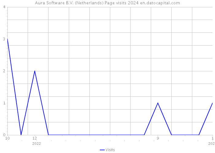 Aura Software B.V. (Netherlands) Page visits 2024 