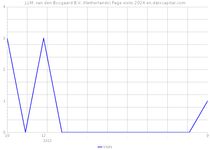 J.J.M. van den Boogaard B.V. (Netherlands) Page visits 2024 