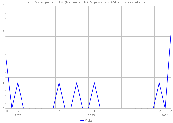 Credit Management B.V. (Netherlands) Page visits 2024 