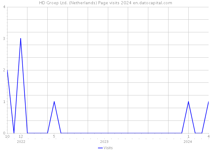 HD Groep Ltd. (Netherlands) Page visits 2024 