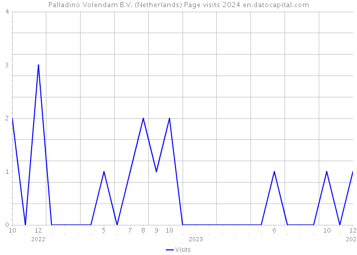 Palladino Volendam B.V. (Netherlands) Page visits 2024 