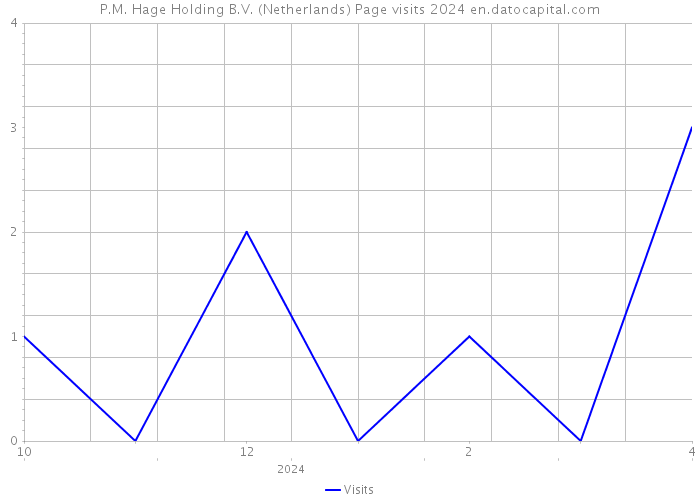 P.M. Hage Holding B.V. (Netherlands) Page visits 2024 