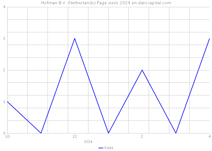 Hofman B.V. (Netherlands) Page visits 2024 