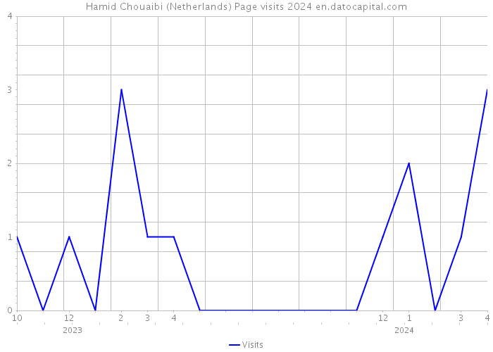 Hamid Chouaibi (Netherlands) Page visits 2024 