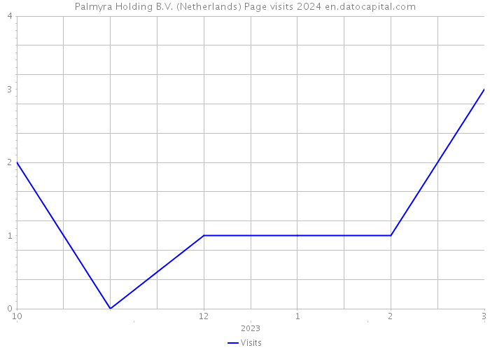 Palmyra Holding B.V. (Netherlands) Page visits 2024 