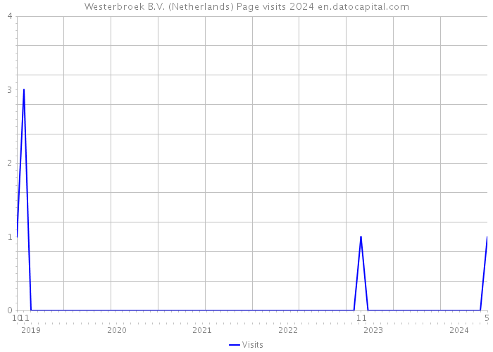 Westerbroek B.V. (Netherlands) Page visits 2024 