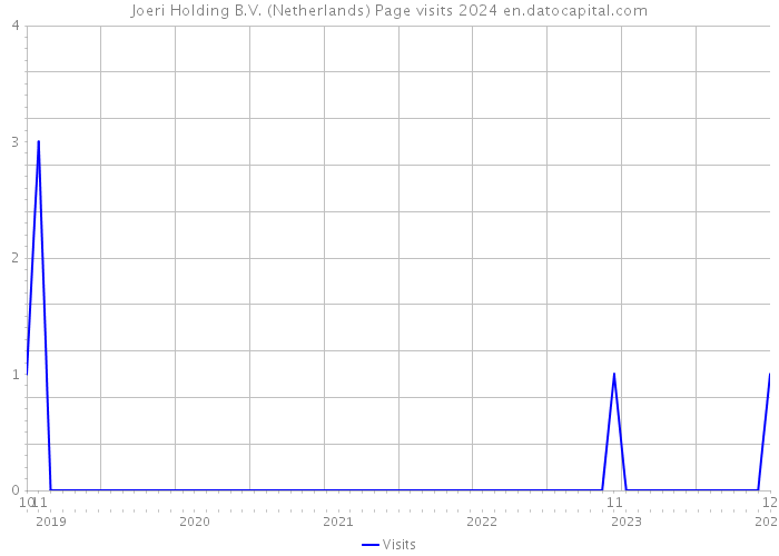 Joeri Holding B.V. (Netherlands) Page visits 2024 
