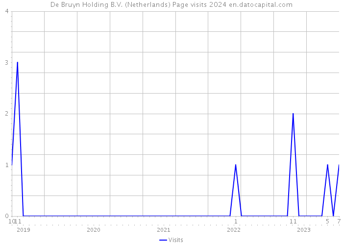 De Bruyn Holding B.V. (Netherlands) Page visits 2024 