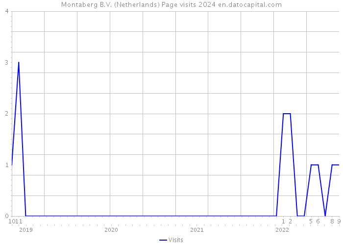 Montaberg B.V. (Netherlands) Page visits 2024 