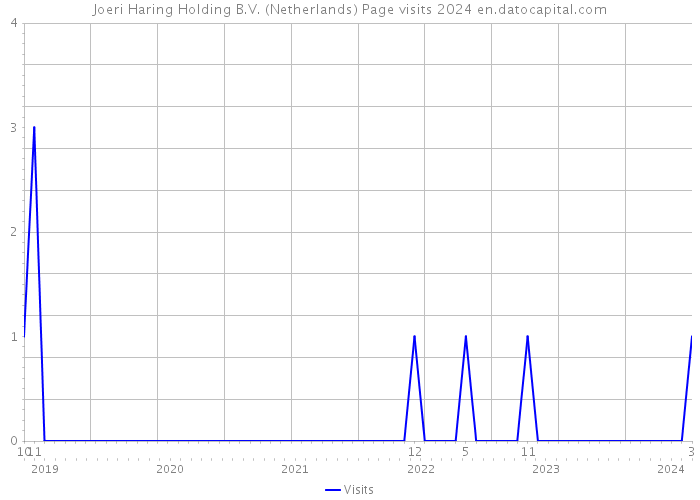 Joeri Haring Holding B.V. (Netherlands) Page visits 2024 