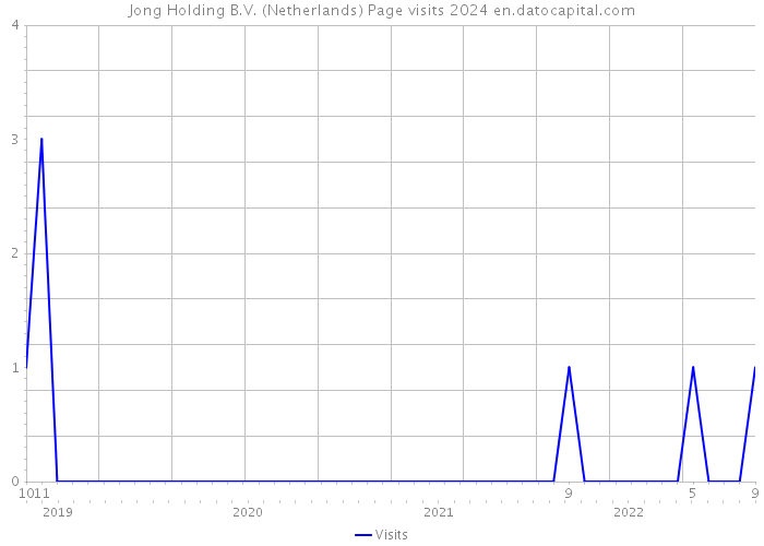 Jong Holding B.V. (Netherlands) Page visits 2024 