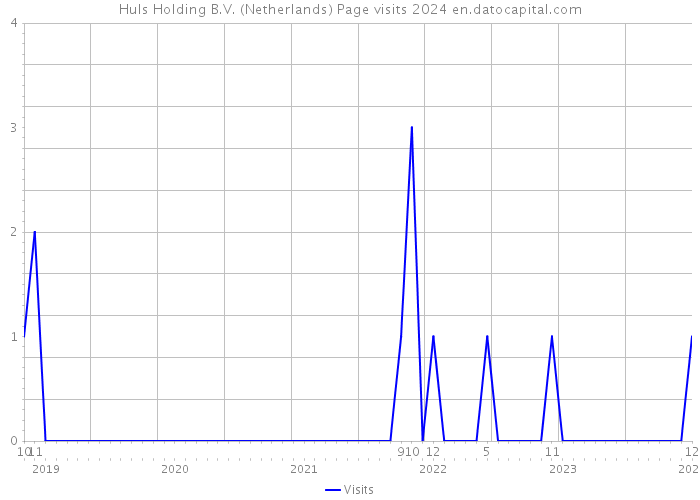Huls Holding B.V. (Netherlands) Page visits 2024 