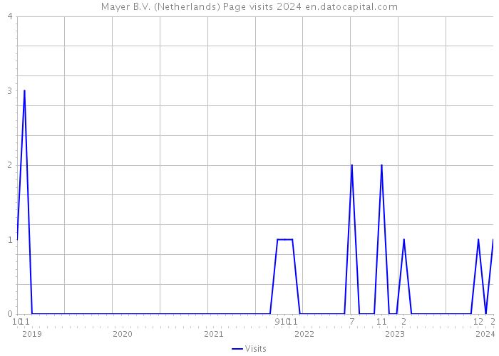Mayer B.V. (Netherlands) Page visits 2024 